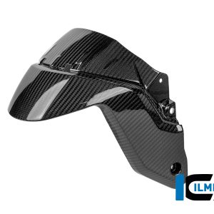 Kotflügel vorne Carbon glänzend BMW R 1300 R BMW R 1300 R Carbon