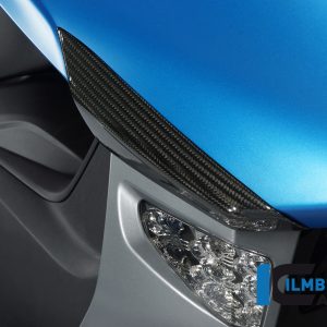 Sturzpads vorne (2tlg) C600Sport BMW C 600 Sport 2012 - 2015