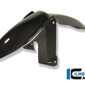 Kotflügel vorne Carbon BMW F 800 R BMW F 800 R (2009-2011)